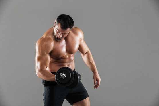 Gonadotropine Effecten Gonadotropine Effecten